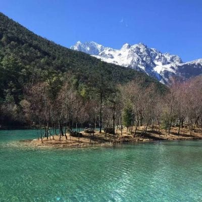 راہیم پردیسی avatar